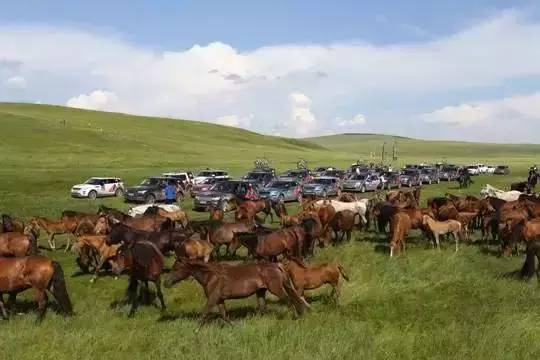 中国有豪车最多的人是谁,中国拥有顶级豪车最多的人