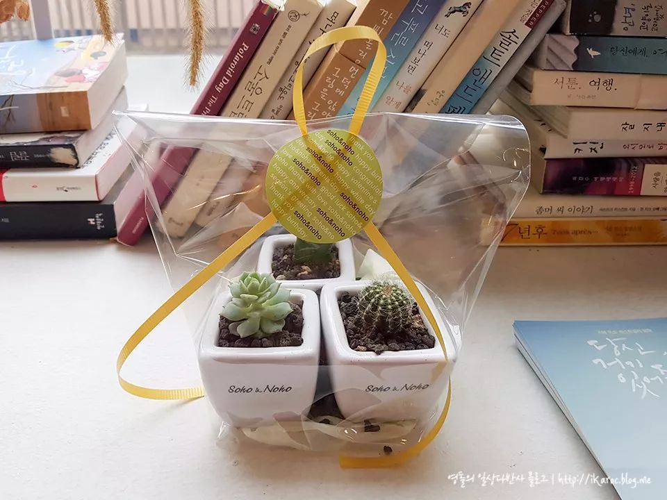 就连文艺女青年也找不到的史诗级咖啡店，因为它们真的藏在角落里