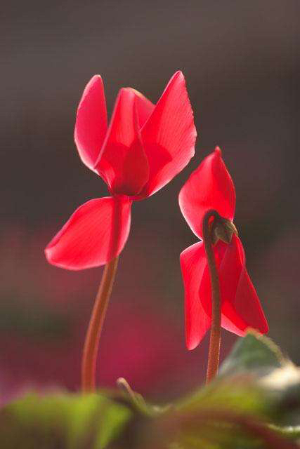 经量少多怎么办,经量太少该吃什么调理