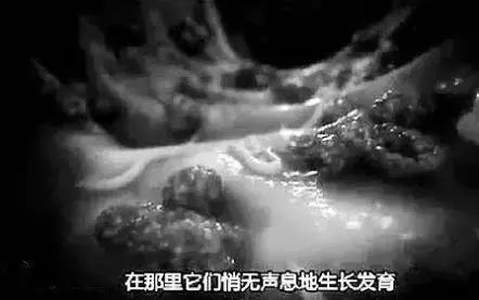 用错药对儿童有哪些危害,驱虫药用错