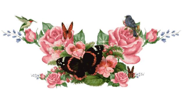 三八女人节送你一束有钱花,三八女神节送你有钱花