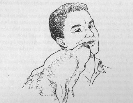 掌握狗的语言交流