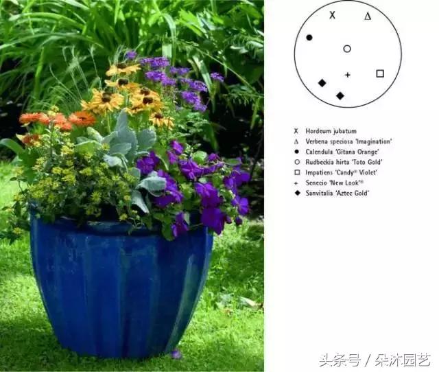 园艺插花容器,容器家庭园艺