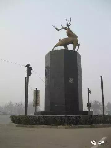 95后羊毛*党**小Q:撸毛年入十万利润超过卖手机