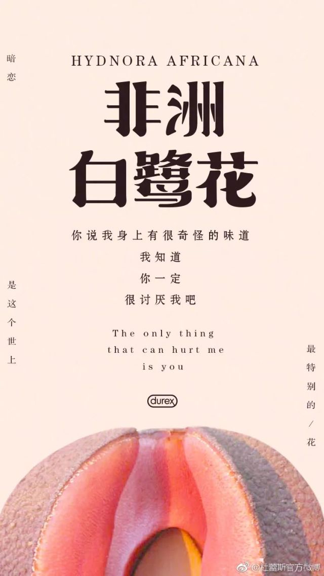 鏉滆暰鏂コ绁炶妭瑙嗛,涓冨鎯呬汉鑺傛潨钑炬柉