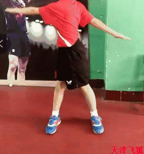 乒乓球系统训练计划明细表,乒乓球基础教练教学书籍