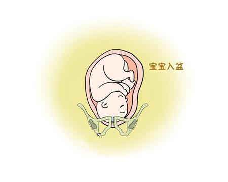 胎儿入盆6大症状，早知道早准备！