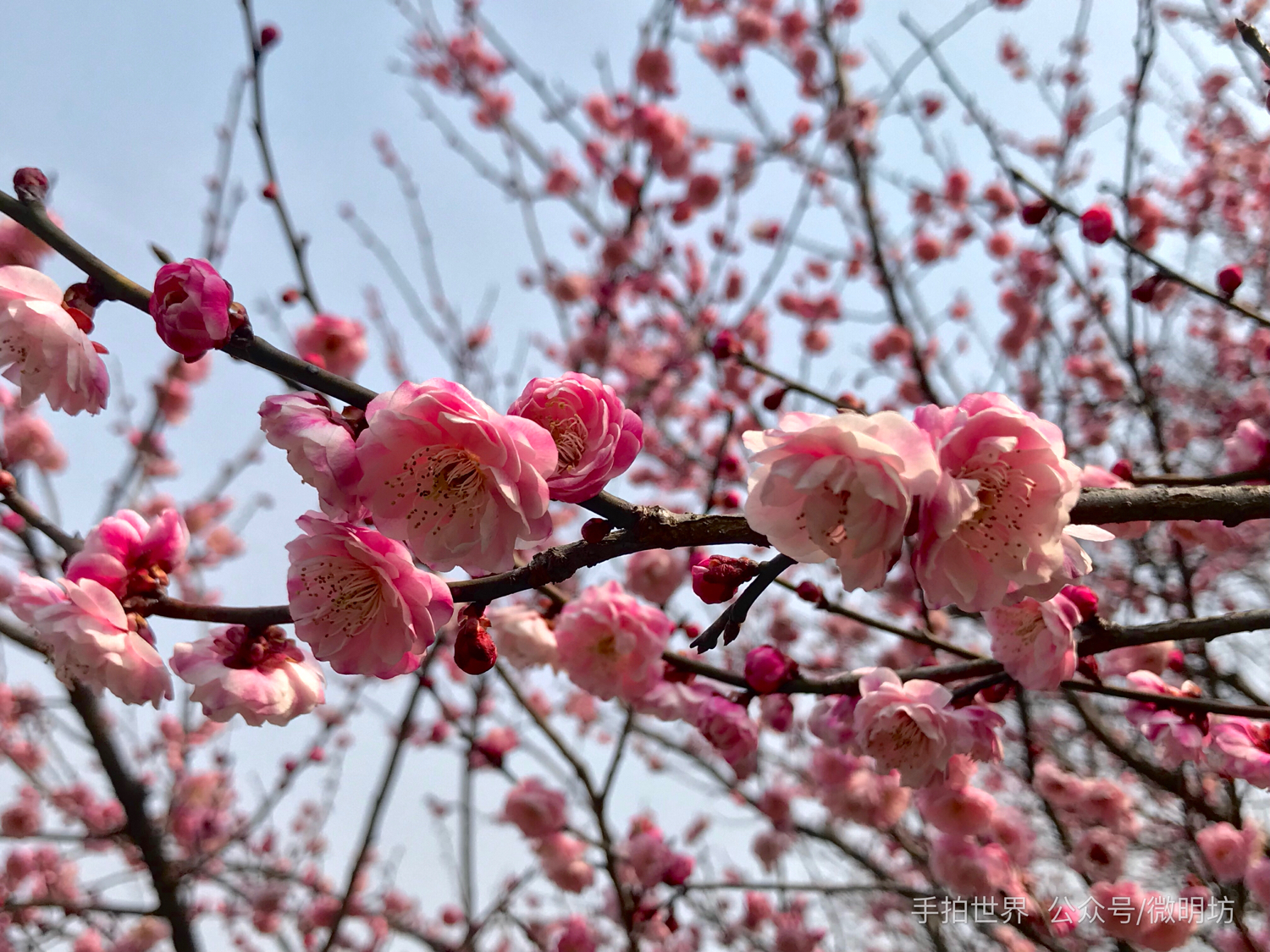 图片分辨率英文缩写,照片的格式英文缩写是什么