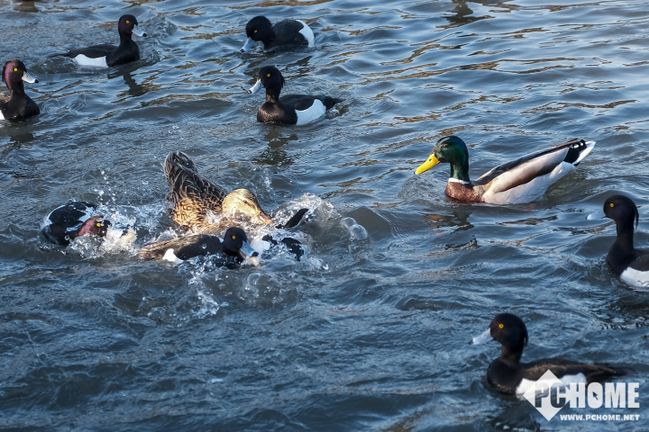 xh1富士拍夜景,x-h1富士