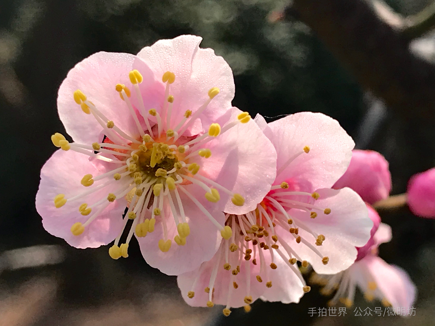 图片分辨率英文缩写,照片的格式英文缩写是什么