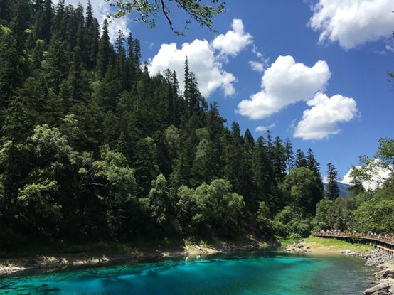 销售顾问应该具备的素质和能力,实施顾问培训计划