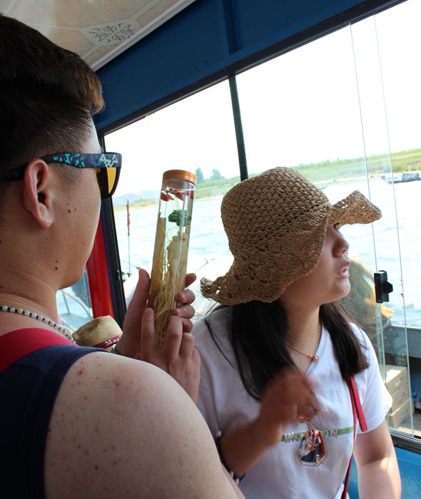 中朝边境美丽的风景,中朝边境桃花盛开的地方