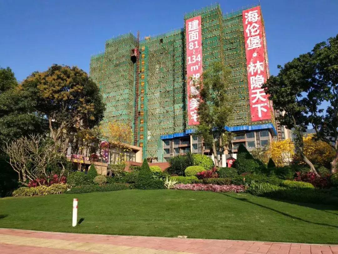 全国多地爆发万人抢房大战,各路高手齐聚一堂争夺天下第一