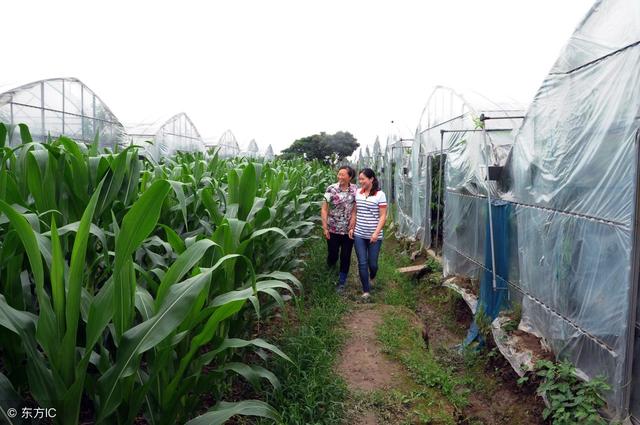天津家庭农场申请条件和注册流程,安徽省申请家庭农场注册条件