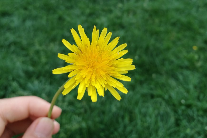 老妈自从知道了这东西治痘,天天逼我吃!谁知痘真没了皮肤还好了