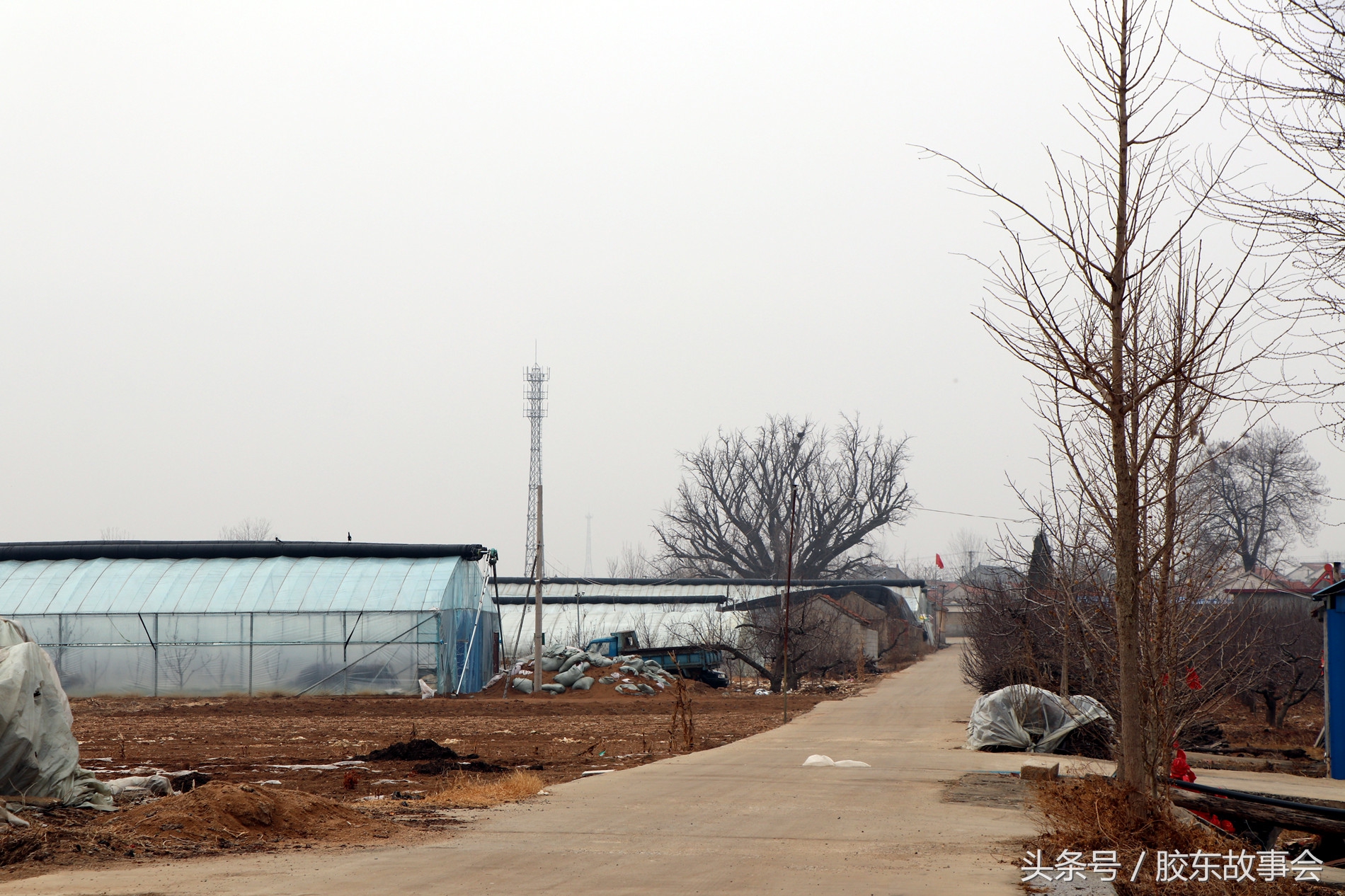烟台栖霞区地貌,烟台栖霞海拔高度是多少