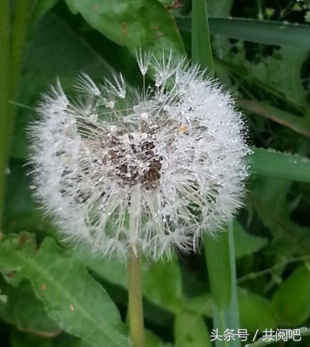 读心术——一句话教你读懂心理学，小动作隐藏大秘密