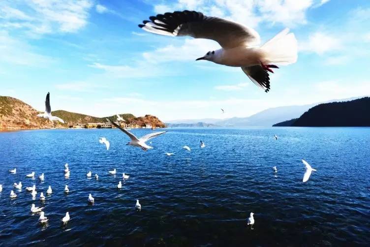 故事|2000元游遍全国后，肉与远方对他有了新的意义