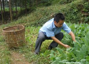 江西省三支一扶政策待遇,三支一扶的待遇江西省