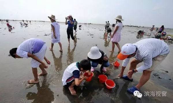 天津滨海新区亲子游玩好去处,天津滨海新区游玩好去处