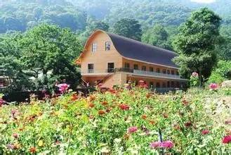 广州大热乡村旅游攻略,广州乡村游