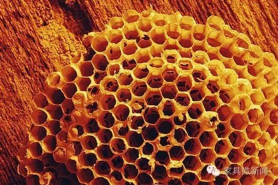 家具涂料种类大全,家具的秘密有哪些