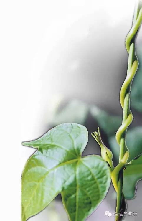 初三物理中考必考知识点归纳图片,中考物理16个必考模型