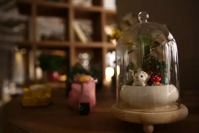 鏂板簵鎺㈢,宸撮粠鏄ュぉ鏂板簵