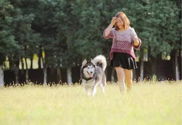 狗是唯一喜欢你的生物,狗是唯一爱主人胜过爱自己的动物