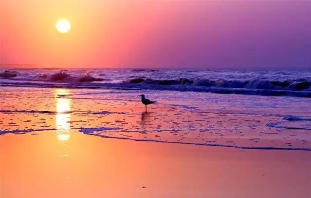 不输马尔代夫的旅游,不输三亚的地方