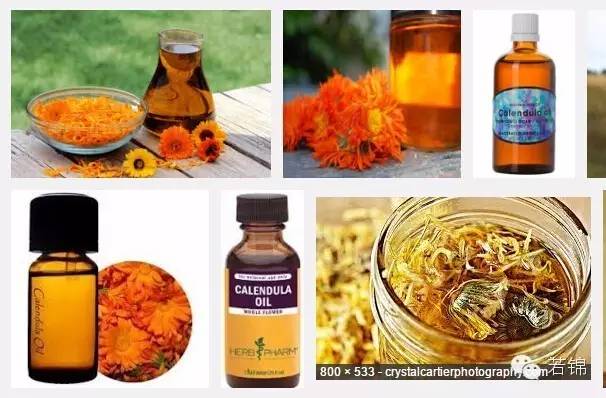 宠物耳螨怎么算痊愈,宠物有耳螨治疗要多少钱