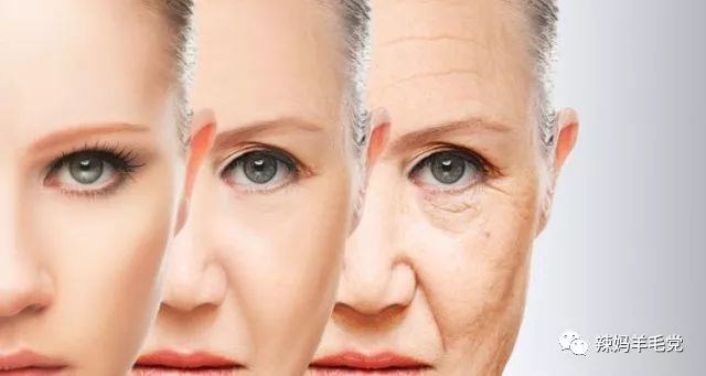 皱纹和皮肤松弛真的是皮肤老化的必然结果？