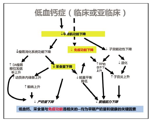 王艳明牛奶,王艳明