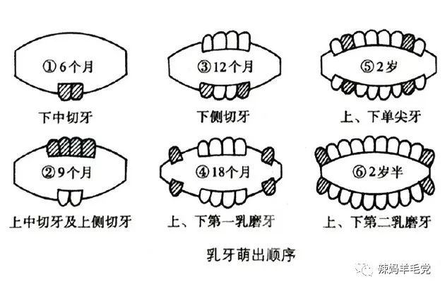 宝宝出生第一个月你不知道的事,宝宝出生前一年妈妈必须经历的事