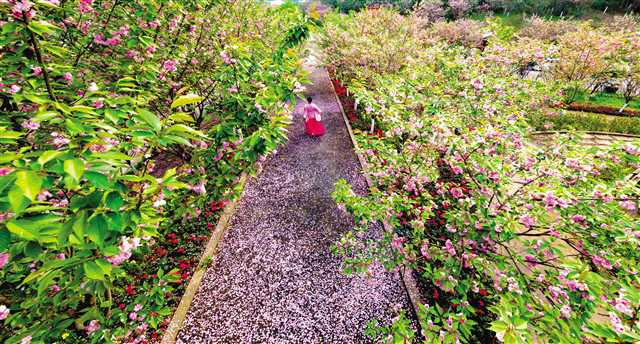 重庆南川山水都市旅游,重庆南川秋季旅游排名