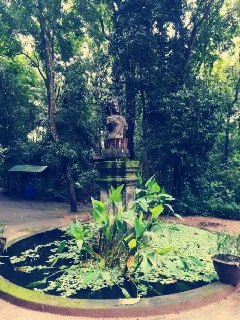 君行体验官专栏丨他在佛之国度，邂逅了一场浪漫