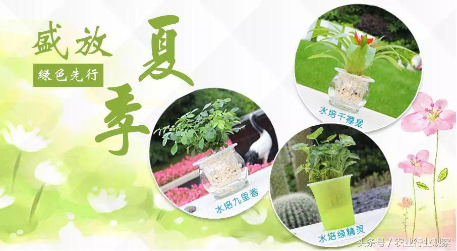 90后小伙摆摊赚7万,90后小伙做社交电商3个月真的赚钱