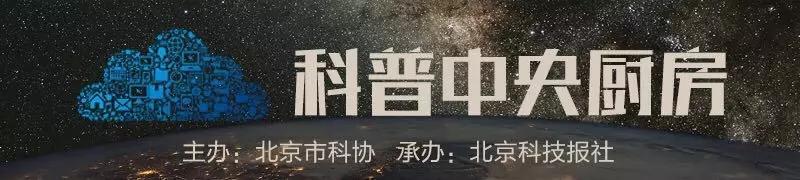 羊水穿刺太可怕所以去做无创DNA检测?协和妇产专家谈羊穿恐惧症