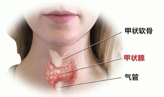 甲府事件有哪些,甲府市在哪里