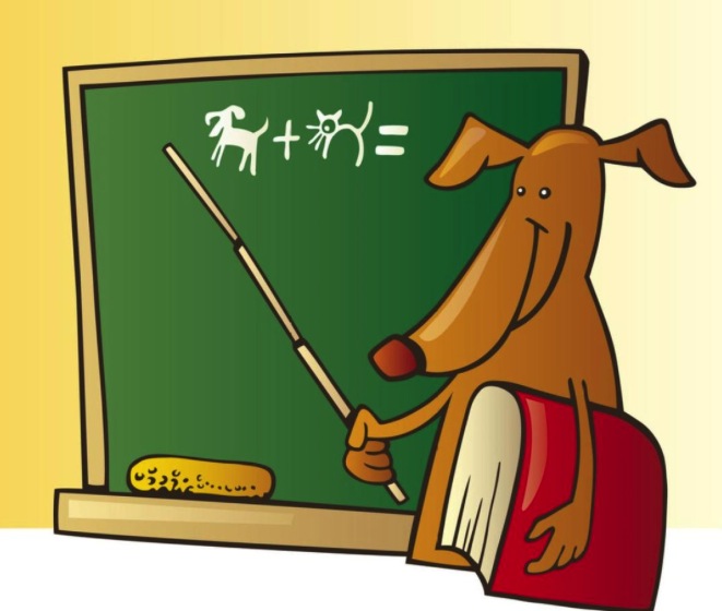 汪星人感冒了会怎样,汪星人最怕什么刑罚