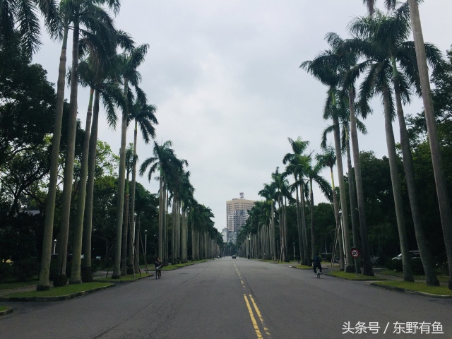 投稿爱情故事800字,投稿爱情故事120字