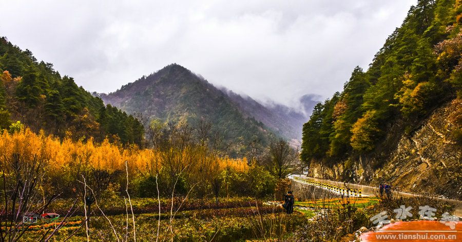天水市国家级美丽乡村建设,天水市最美乡村名录图片