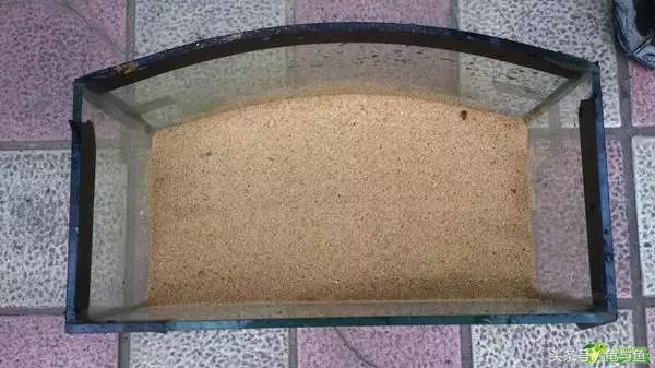 冬眠的正确疗法,冬眠的动物都怎么样越冬