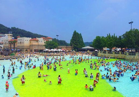 猴年马月相关知识,猴年马月浇水技巧