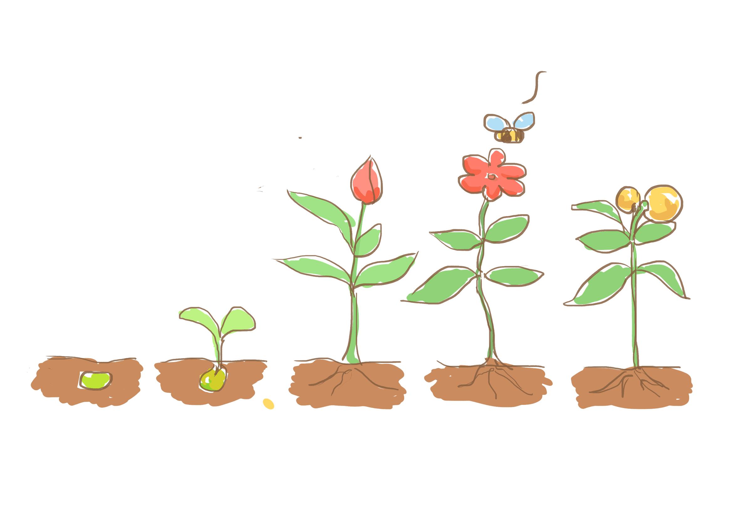 如何回答孩子我从哪里来这个问题,孩子从哪里来该怎么回答