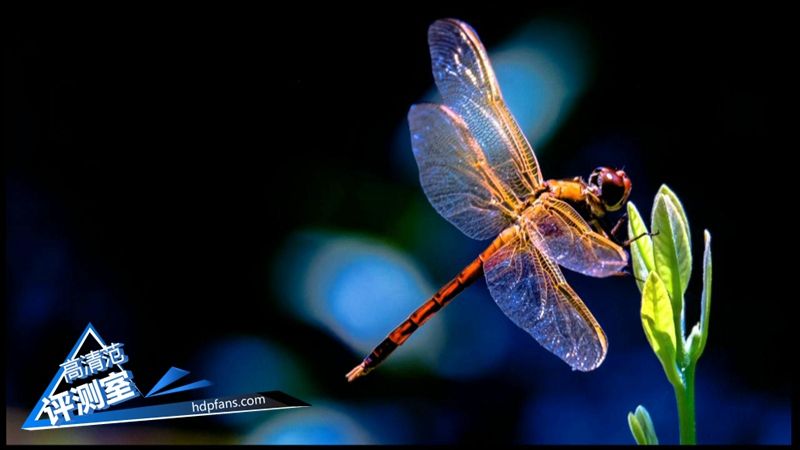 海美迪芒果嗨q2升级,海美迪芒果嗨q机顶盒