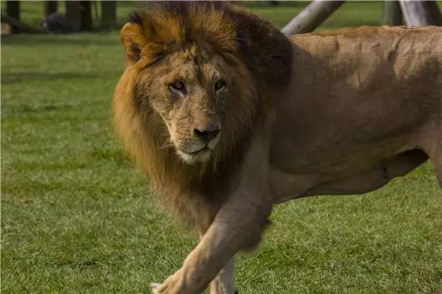 棕榈滩美景,棕榈滩沙滩