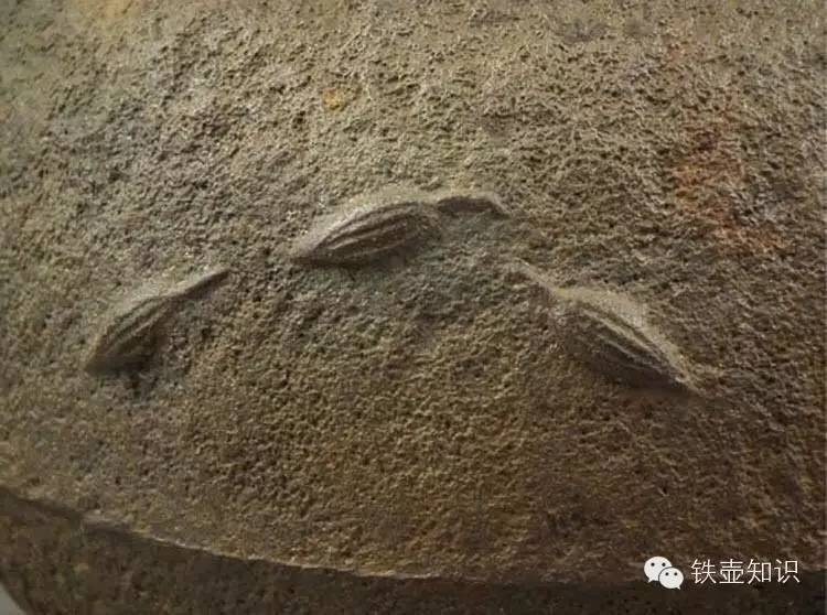 老铁壶的用法,老铁壶有锈吗