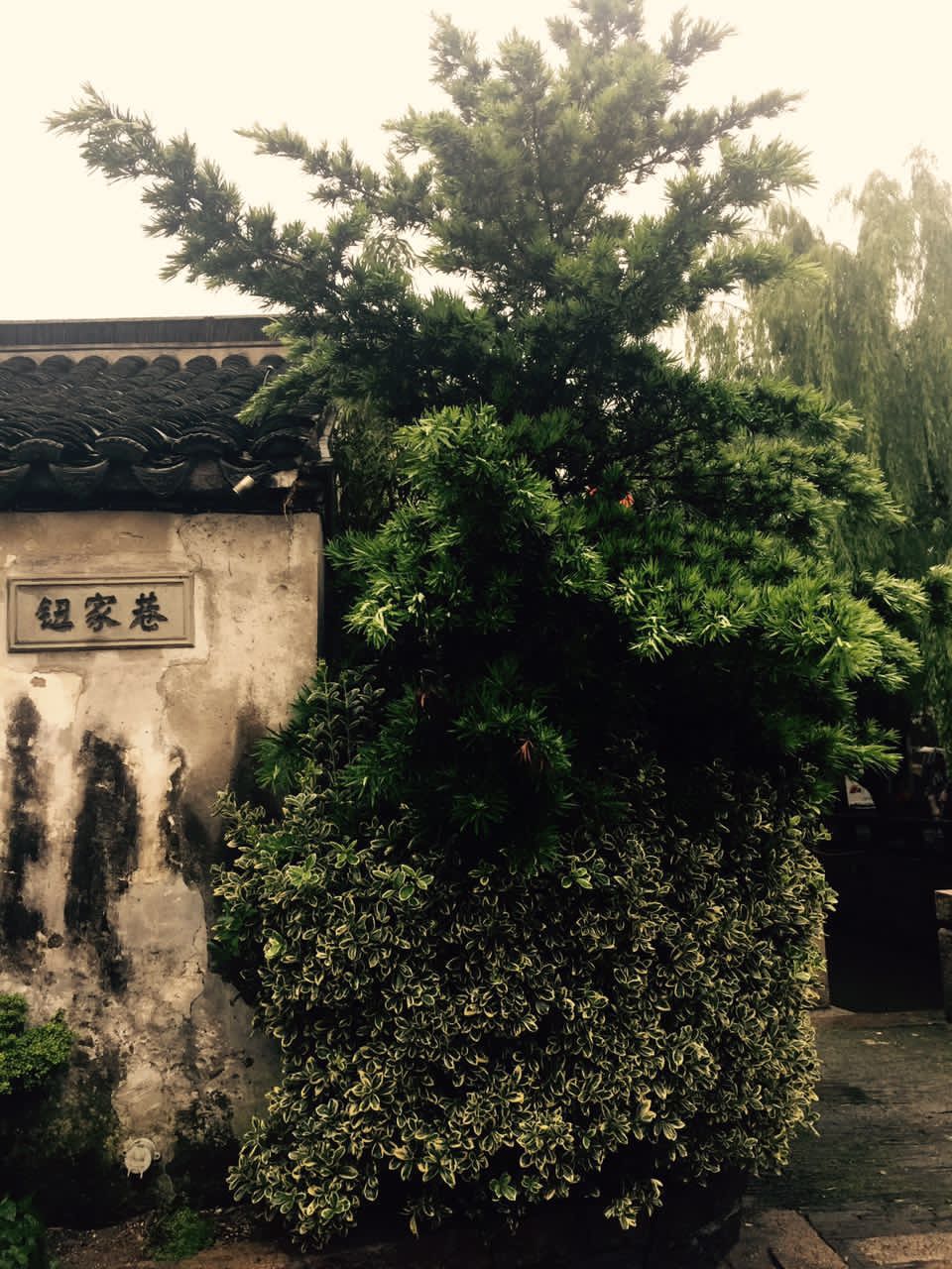 苏州访书记：从诚品到文学山房