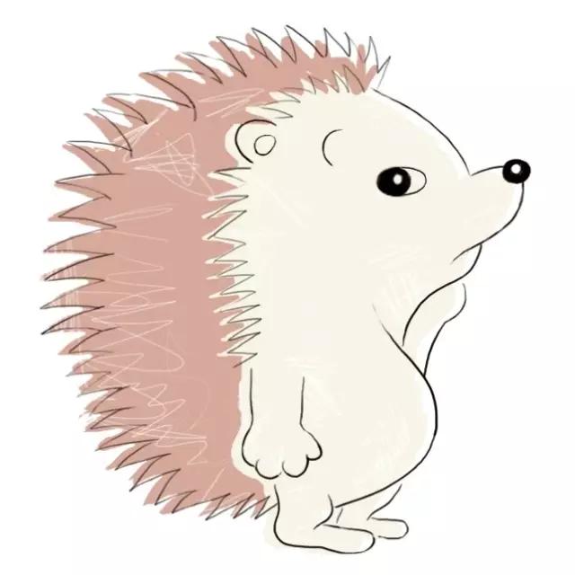 韩国济州岛住宿攻略,济州岛自由行攻略